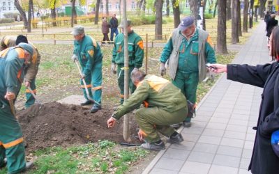 U centru grada posađena nova stabla bođoša