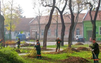 Skupljanje lišća u centru grada