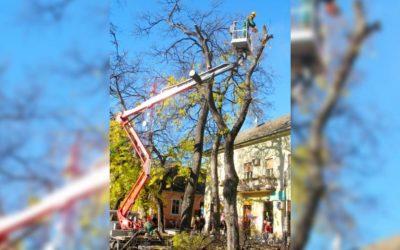 Bođoši na Vencu Stepe Stepanovića