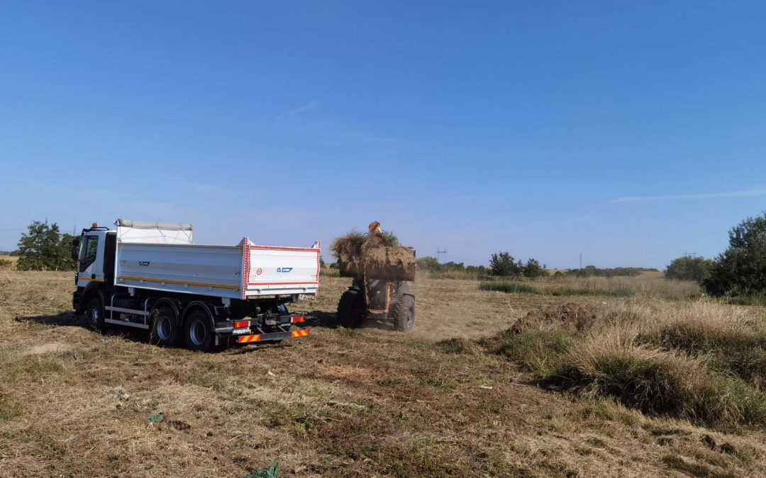 Započeto uklanjanje divlje deponije na putu Čonoplja – Miletić