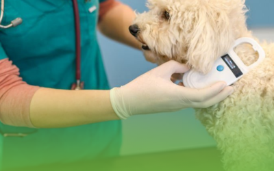 Бесплатно чиповање и вакцинисање паса