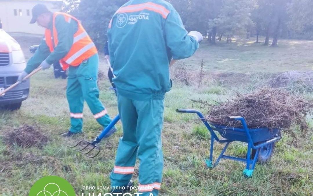 Радници ЈКП “Чистоћа” Сомбор на задатку